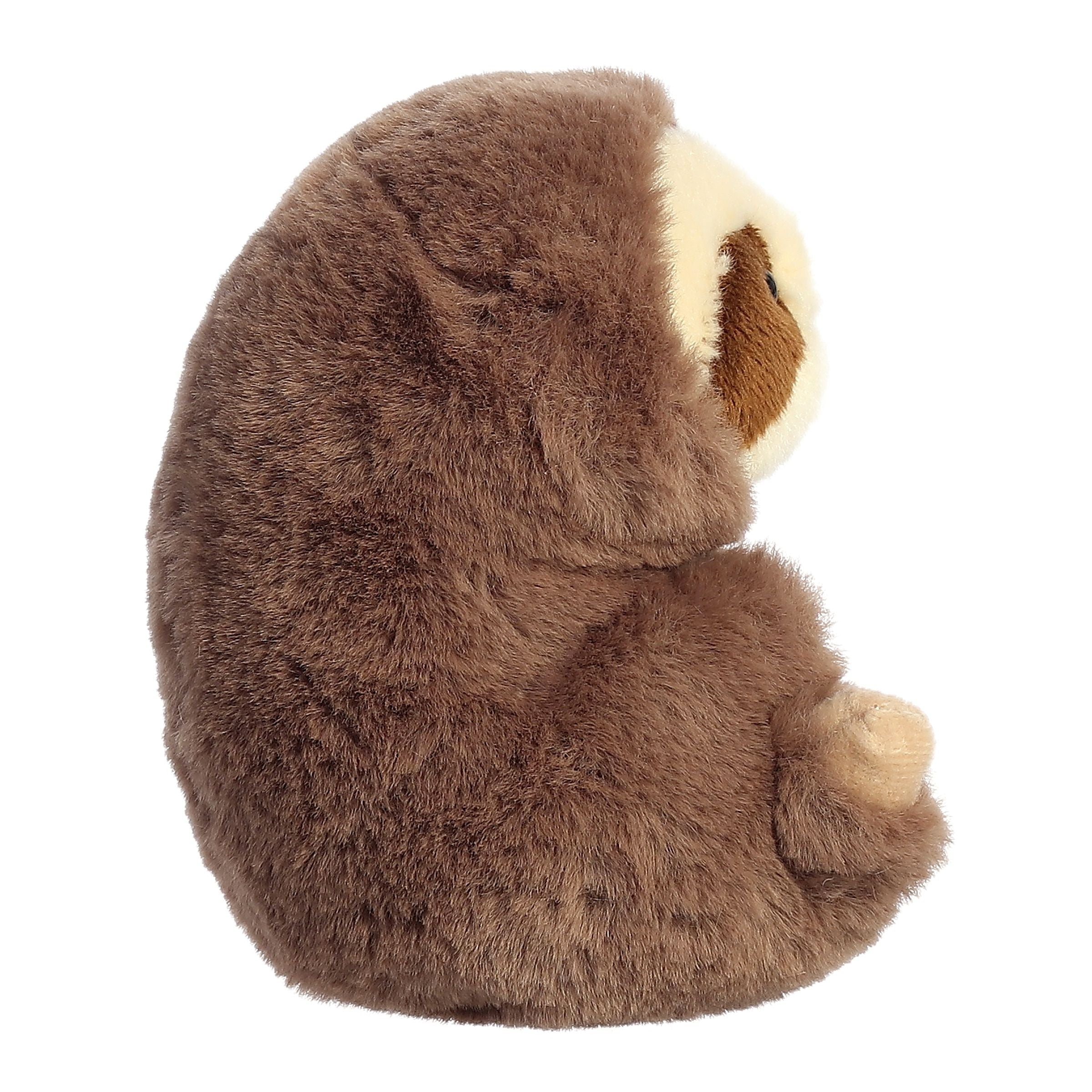 Aurora Rolly Pet Seth Sloth 5" - Regular - Image 4