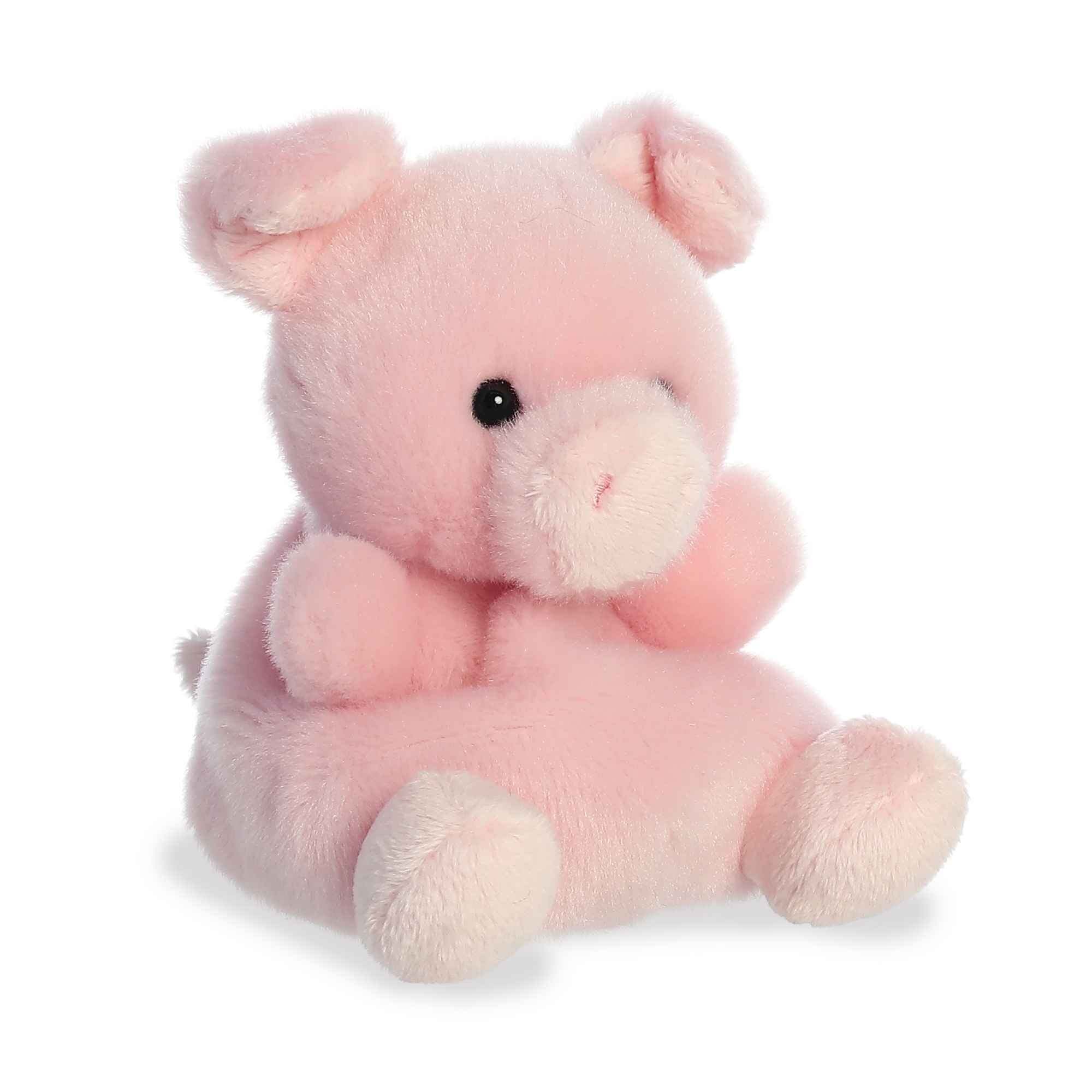 Aurora Palm Pals Wizard Pig 5" - Regular - Image 1