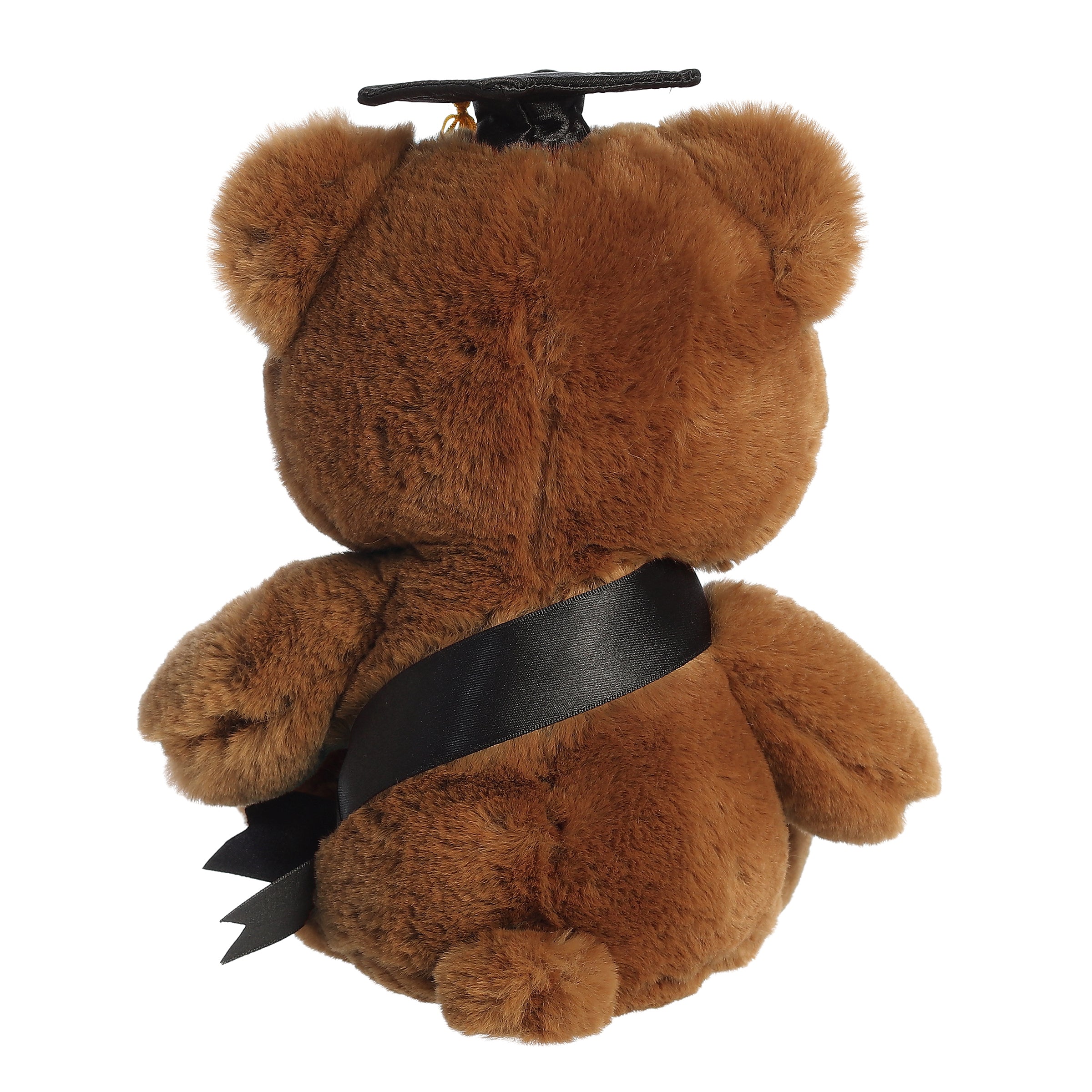 Aurora Graduation Hugga-Wug Bear 10" - Regular - Image 4