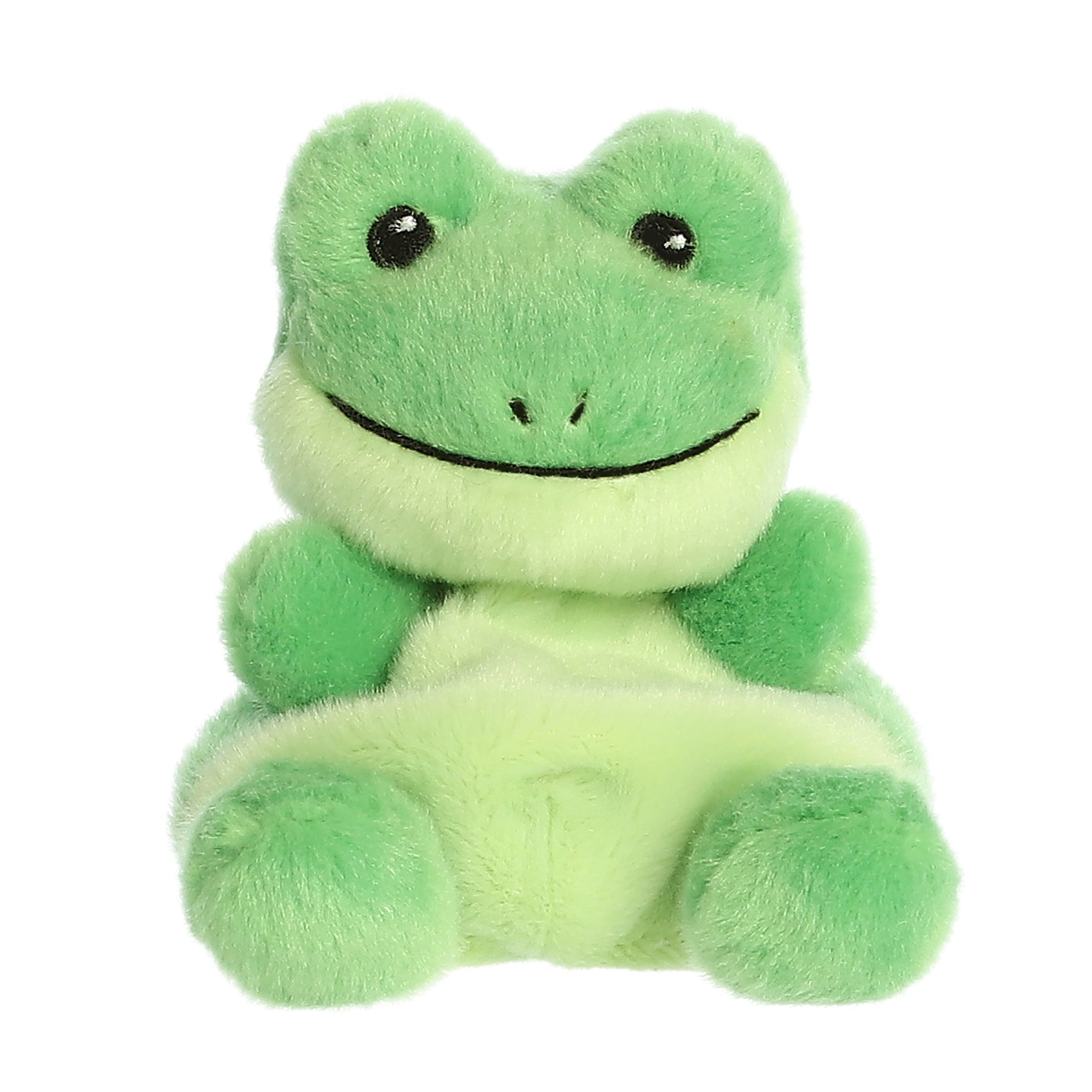 Aurora Palm Pals Ribbits Frog 5" - Regular - Image 1