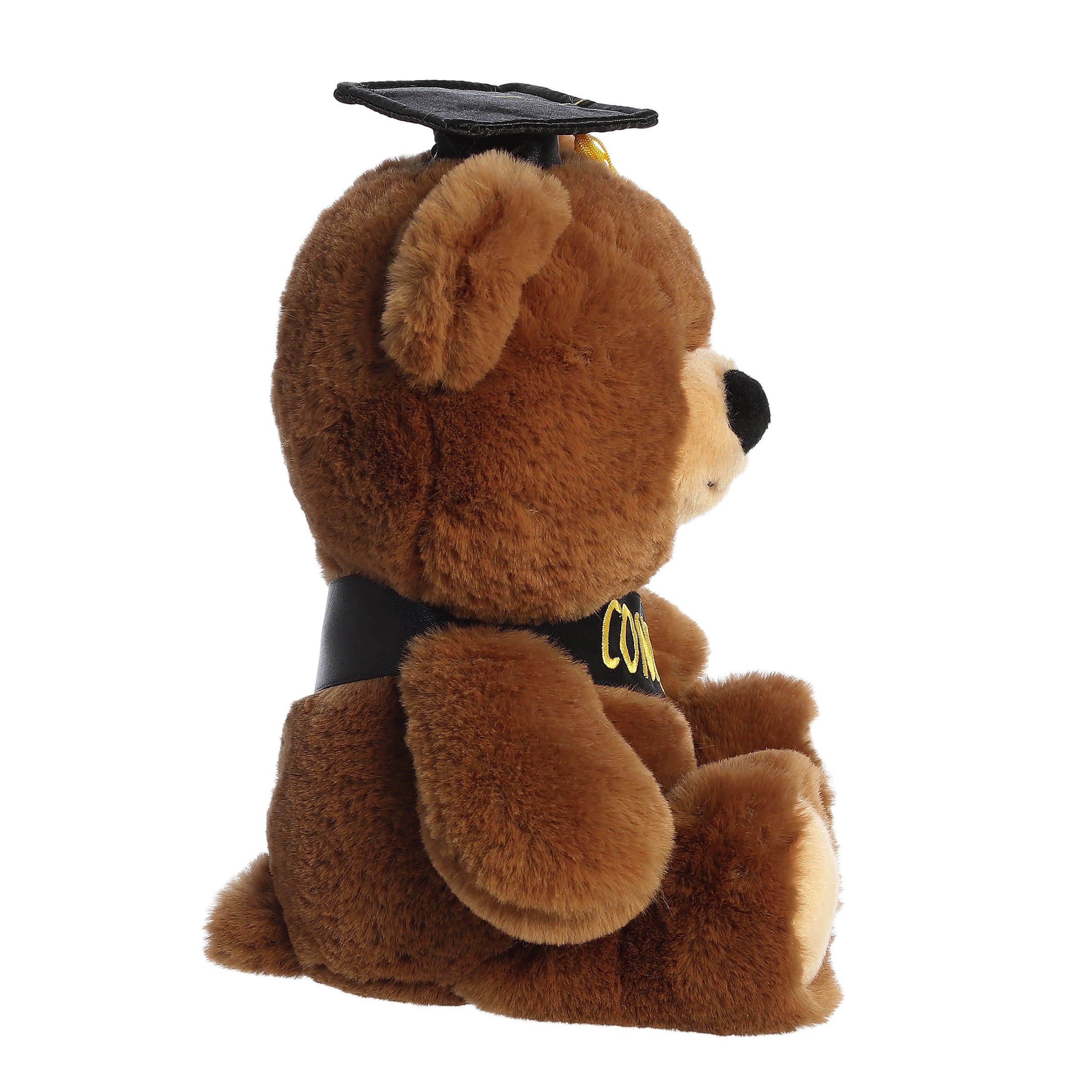 Aurora Graduation Hugga-Wug Bear 10" - Regular - Image 3