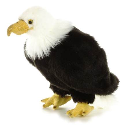 Aurora WildLife Regal Eagle 10.5"