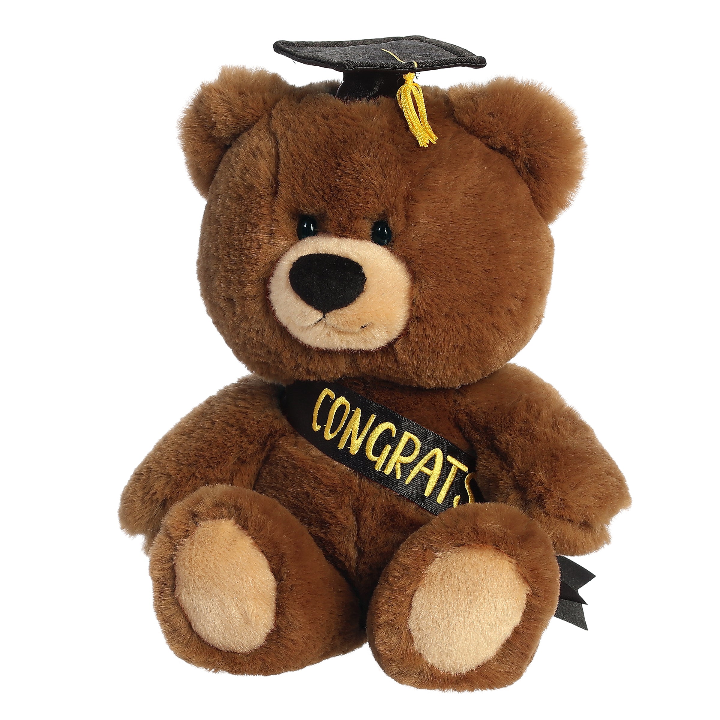 Aurora Graduation Hugga-Wug Bear 10" - Regular - Image 5